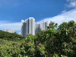 Braddell View (D20), Apartment #257291761